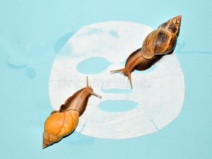 4 Fakta Menarik Snail Slime, Ingredients Skincare yang Lagi Hits - Bolehshop